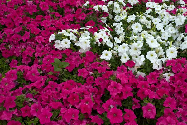 Wie kann man mit wenig Aufwand das Badezimmer modernisieren?